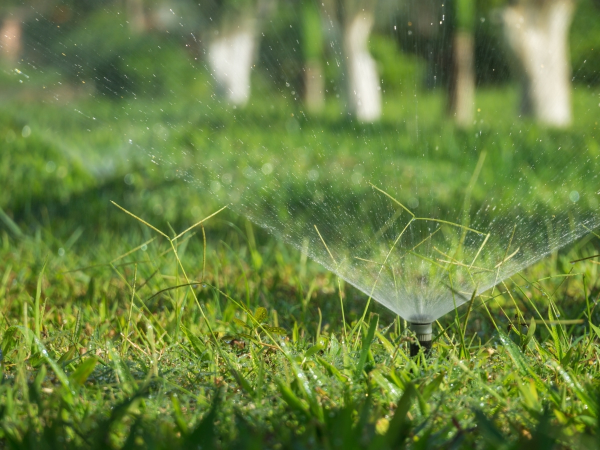 Rasensprenger verteilt Wasser auf einer grünen Wiese im Freien