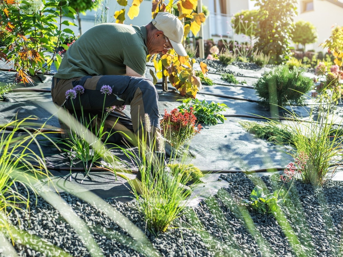 Mann kniet auf einem bepflanzten Hang mit Bewässerungsschläuchen