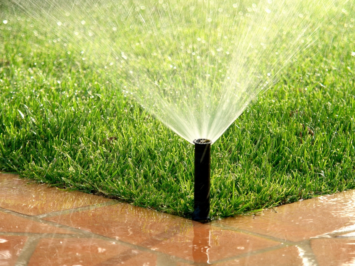 Sprinkler bewässert eine grüne Rasenfläche an der Ecke eines gepflasterten Wegs