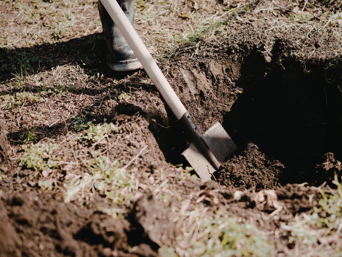 Spaten steckt in einem frisch ausgehobenen Erdloch auf einem unebenen Boden mit Grasresten