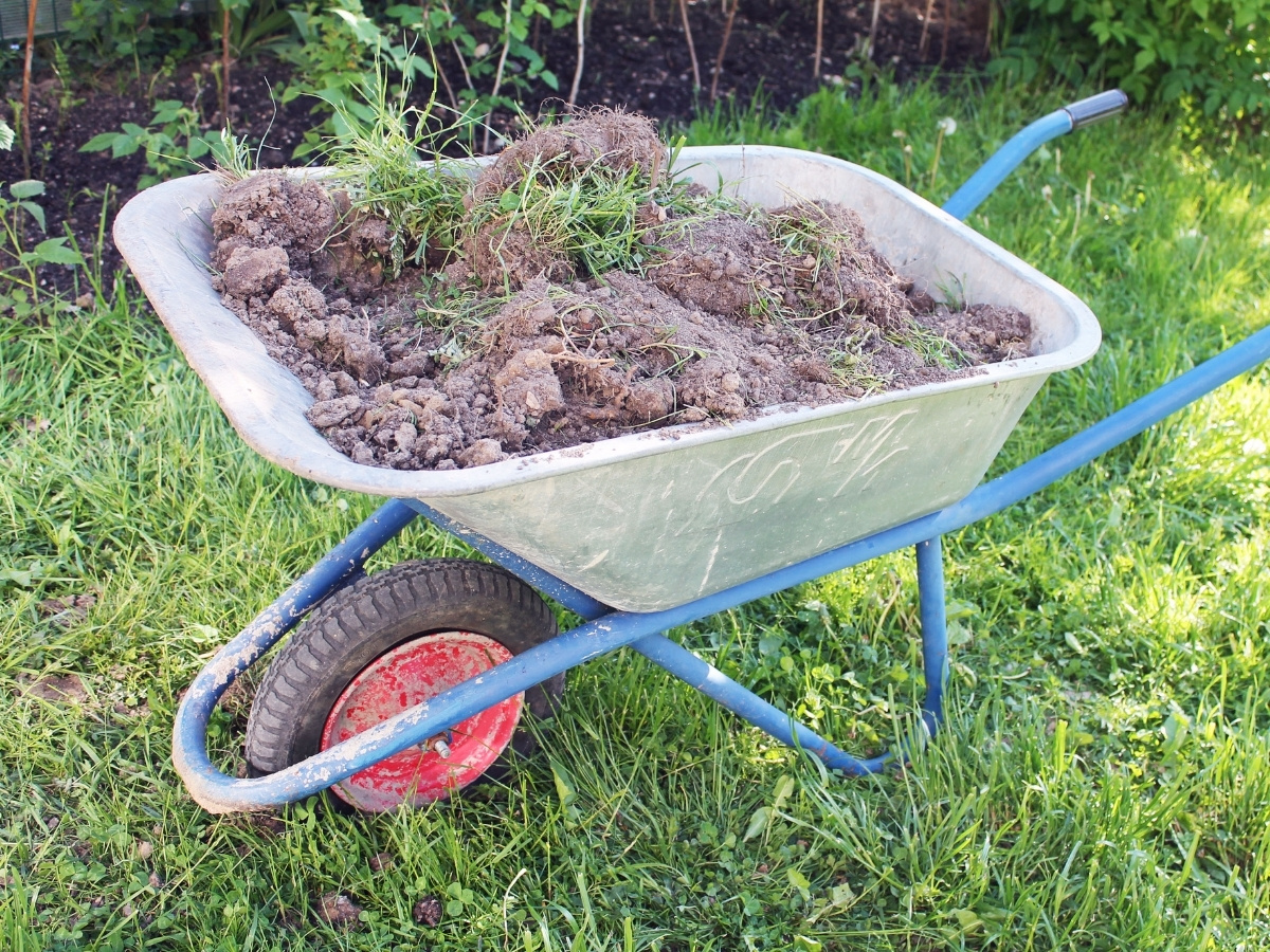 Schubkarre mit Erde und Gras auf einer Wiese