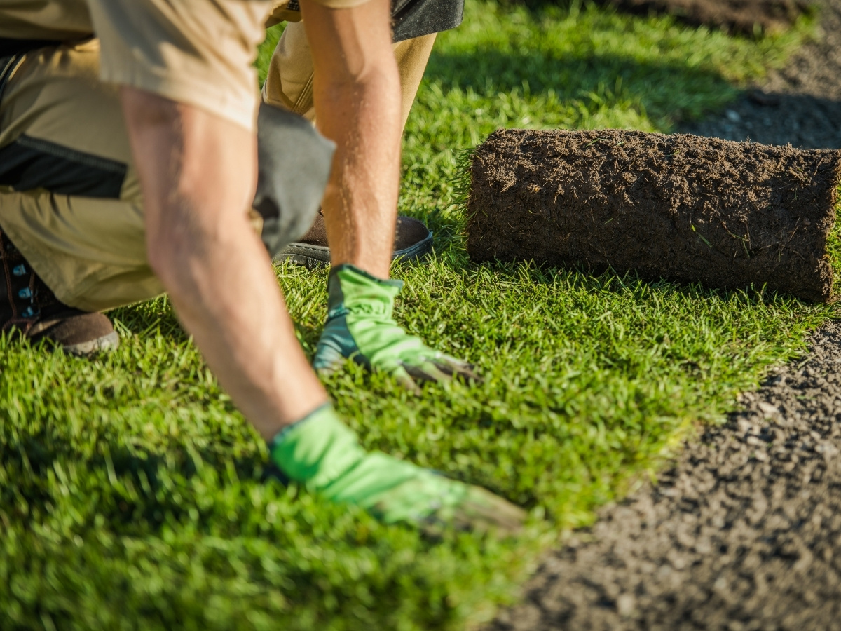 Person mit grünen Handschuhen verlegt Rollrasen auf einem Boden