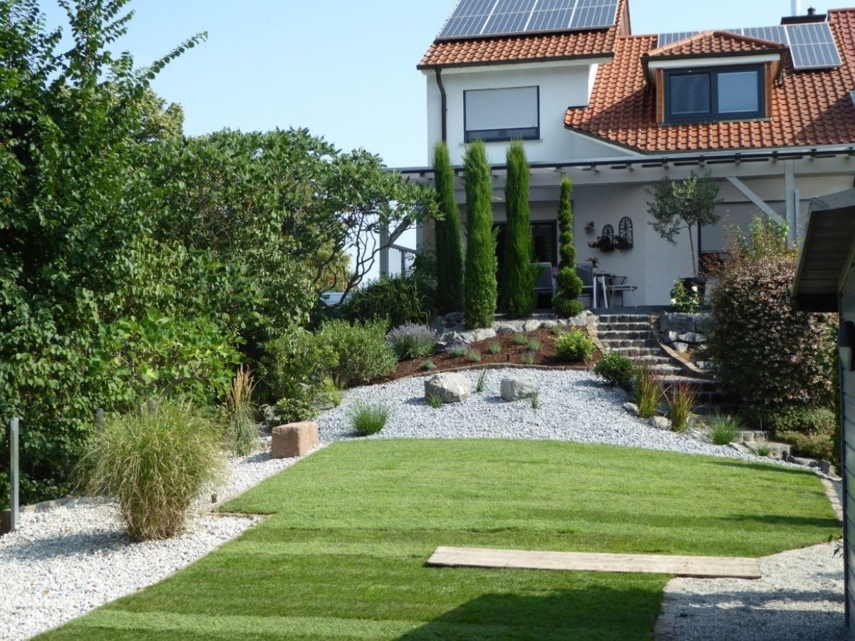 Gepflegter Garten mit Rollrasen, Kieswegen und einem Haus im Hintergrund